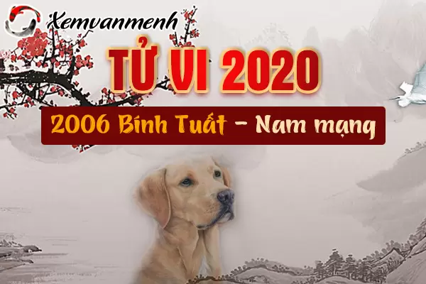 2006-xem-tu-vi-tuoi-binh-tuat-nam-2020-nam-mang