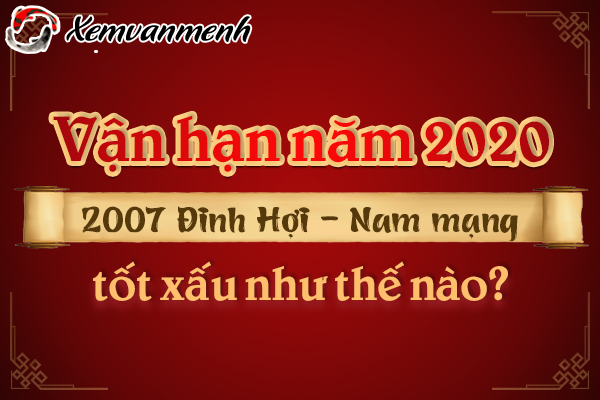 2007-van-han-tuoi-dinh-hoi-nam-2020-nam-mang