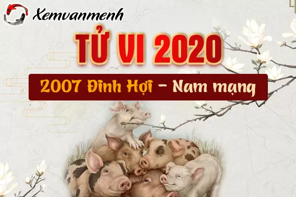 2007-xem-tu-vi-tuoi-dinh-hoi-nam-2020-nam-mang.