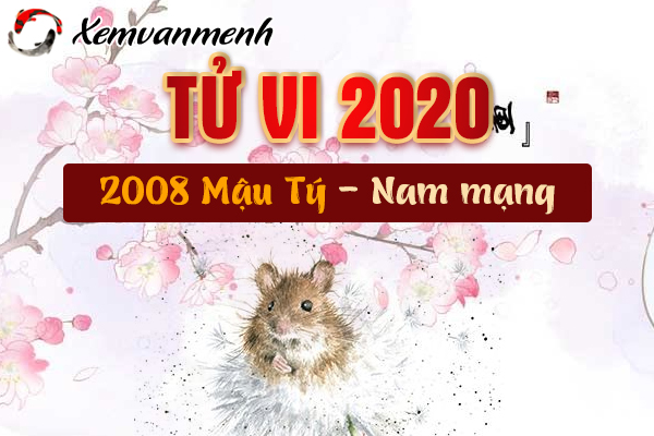 2008-xem-tu-vi-tuoi-mau-ty-nam-2020-nam-mang