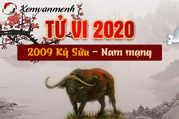 2009-xem-tu-vi-tuoi-ky-suu-nam-2020-nam-mang