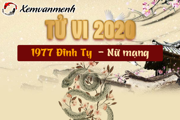 1977-xem-tu-vi-tuoi-dinh-ty-nam-2020-nu-mang