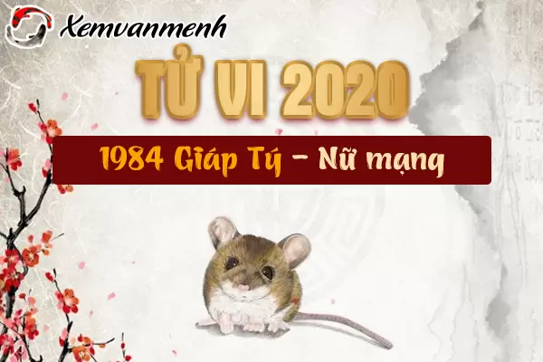 1984-xem-tu-vi-tuoi-giap-ty-nam-2020-nu-mang