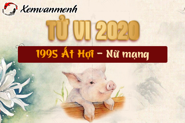1995-xem-tu-vi-tuoi-at-hoi-nam-2020-nu-mang