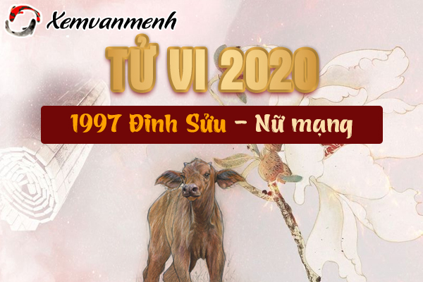 1997-xem-tu-vi-tuoi-dinh-suu-nam-2020-nu-mang