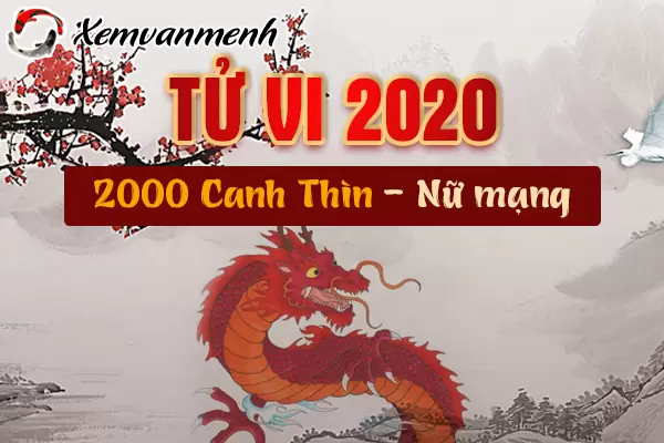 2000-xem-tu-vi-tuoi-canh-thin-nam-2020-nu-mang