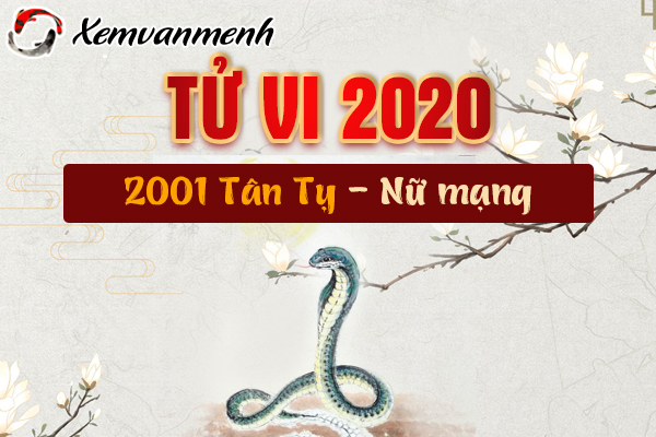 2001-xem-tu-vi-tuoi-tan-ty-nam-2020-nu-mang