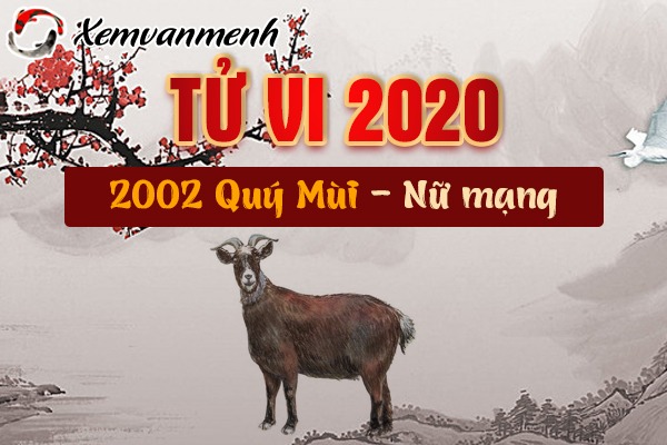 2003-xem-tu-vi-tuoi-quy-mui-nam-2020-nu-mang