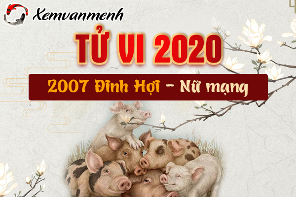 2007-xem-tu-vi-tuoi-dinh-hoi-nam-2020-nu-mang