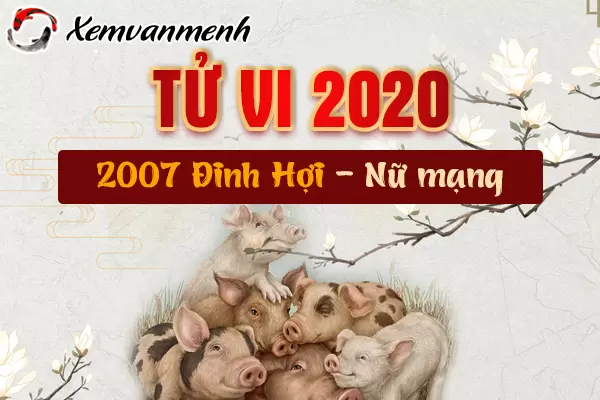 2007-xem-tu-vi-tuoi-dinh-hoi-nam-2020-nu-mang