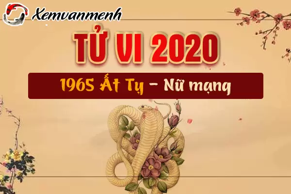 1965-xem-tu-vi-tuoi-at-ty-nam-2020-nu-mang