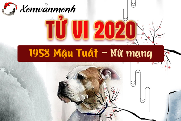 1958-xem-tu-vi-tuoi-mau-tuat-nam-2020-nu-mang