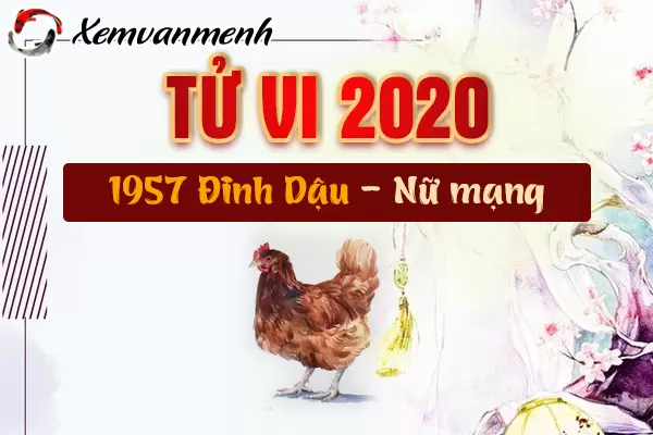 1957-xem-tu-vi-tuoi-dinh-dau-nam-2020-nu-mang