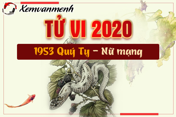 1953-xem-tu-vi-tuoi-quy-ty-nam-2020-nu-mang