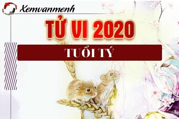 tu-vi-tuoi-ty-nam-2020