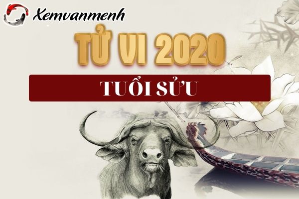 tu-vi-tuoi-suu-nam-2020