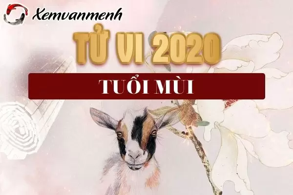 tu-vi-tuoi-mui-nam-2020