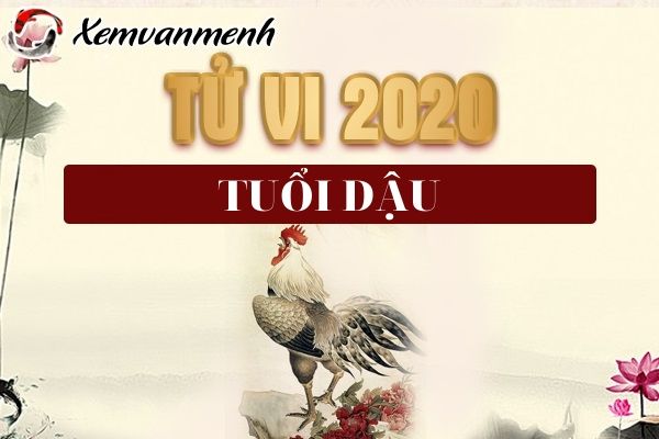 tu-vi-tuoi-dau-nam-2020