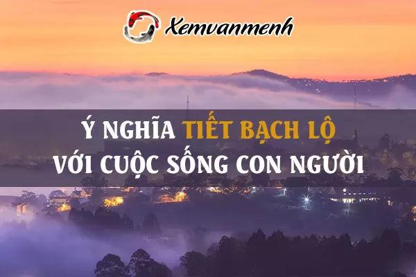 tiet-bach-lo