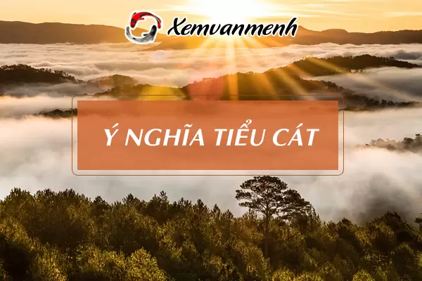 ngay-tieu-cat