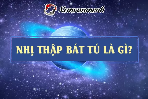 nhi-thap-bat-tu.