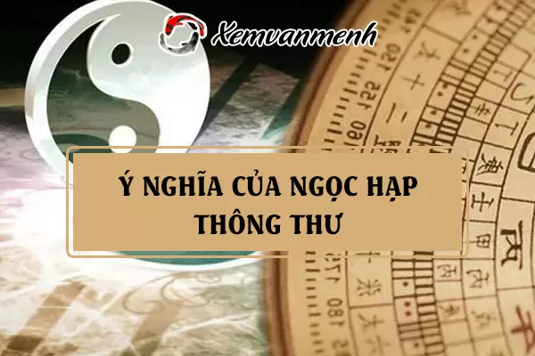 ngoc-hap-thong-thu-la-gi