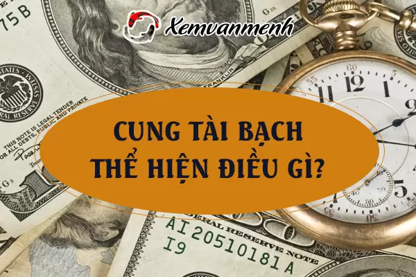 cung-tai-bach