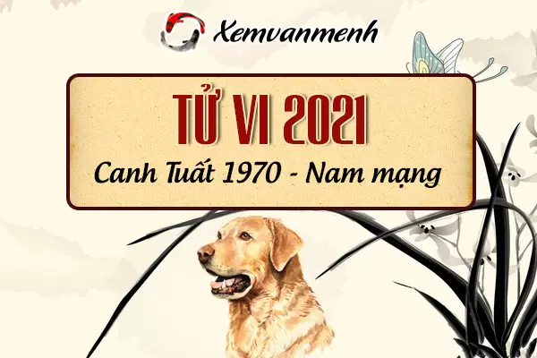 1970-xem-boi-tu-vi-tuoi-canh-tuat-nam-mang