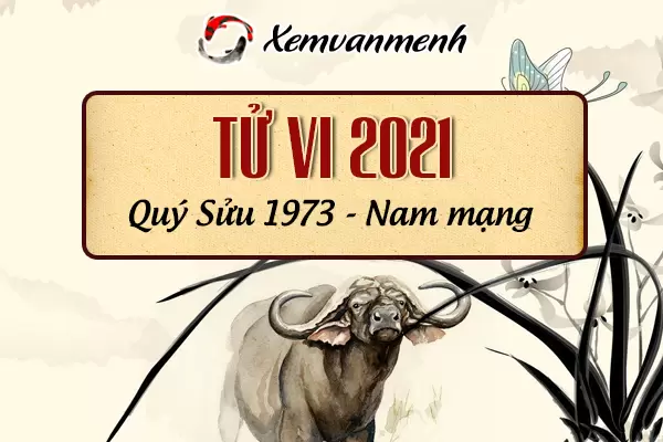 1973-xem-boi-tu-vi-tuoi-quy-suu-nam-mang