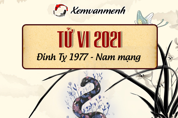 1977-xem-boi-tu-vi-tuoi-dinh-ty-nam-mang