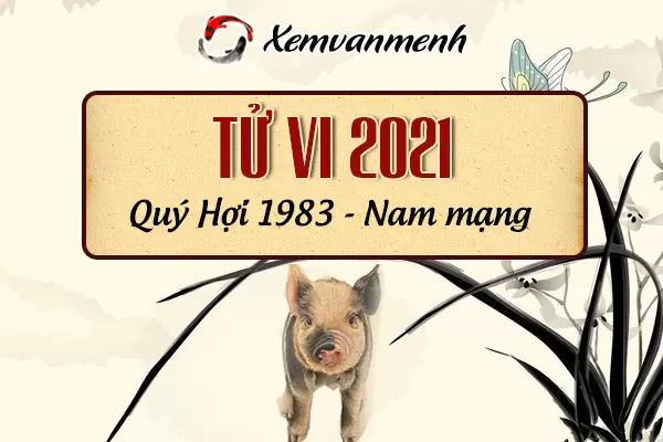 1983-xem-boi-tu-vi-tuoi-quy-hoi-nam-mang