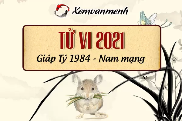 1984-xem-boi-tu-vi-tuoi-giap-ty-nam-mang