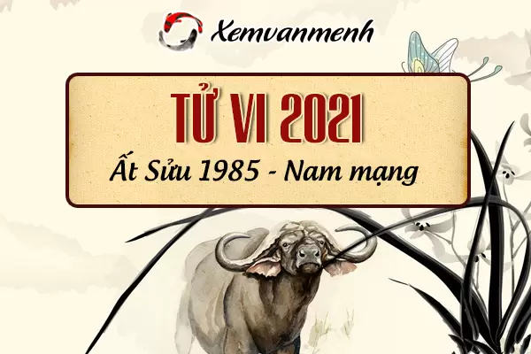 1985-xem-boi-tu-vi-tuoi-at-suu-nam-mang