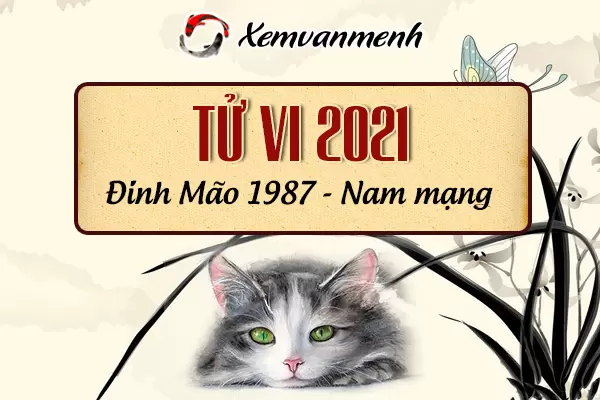 1987-xem-boi-tu-vi-tuoi-dinh-mao-nam-mang