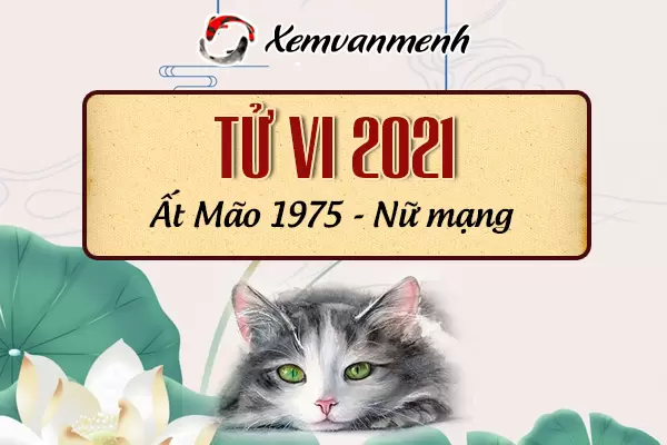 1975-xem-boi-tu-vi-tuoi-at-mao-nu-mang