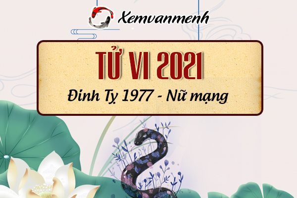 Xem tử vi 2021 tuổi ĐINH TỴ sinh năm 1977 Nữ Mạng NgayAm.com