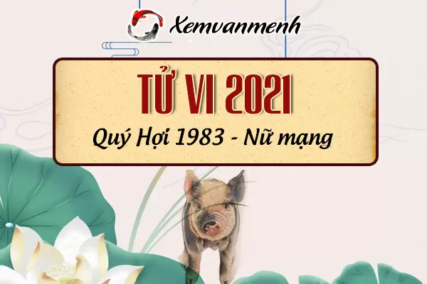 1983-xem-boi-tu-vi-tuoi-quy-hoi-nu-mang