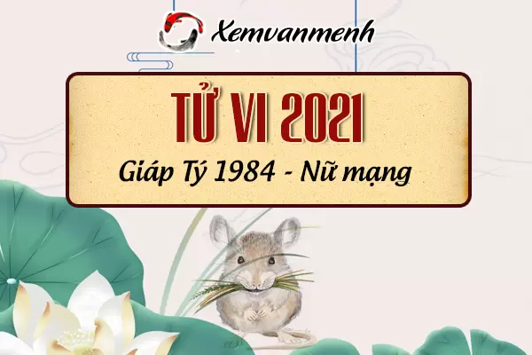 1984-xem-boi-tu-vi-tuoi-giap-ty-nu-mang