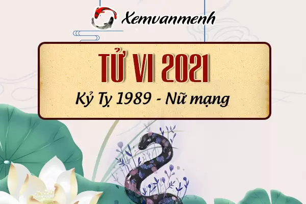 1989-xem-boi-tu-vi-tuoi-ky-ty-nu-mang