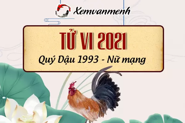 1993-xem-boi-tu-vi-tuoi-quy-dau-nu-mang