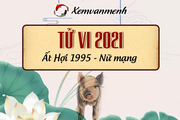 1995-xem-boi-tu-vi-tuoi-at-hoi-nu-mang