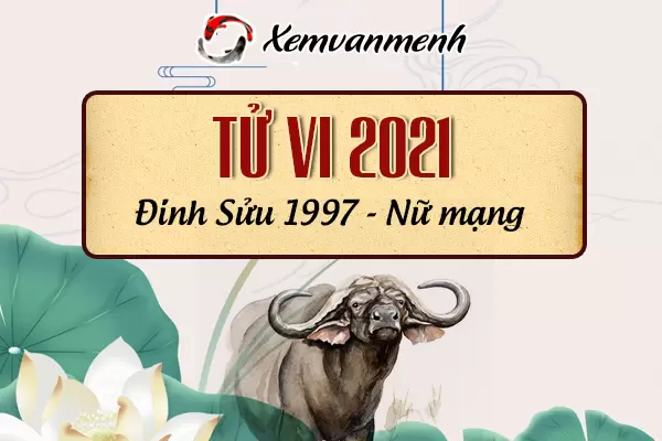 1997-xem-boi-tu-vi-tuoi-dinh-suu-nu-mang