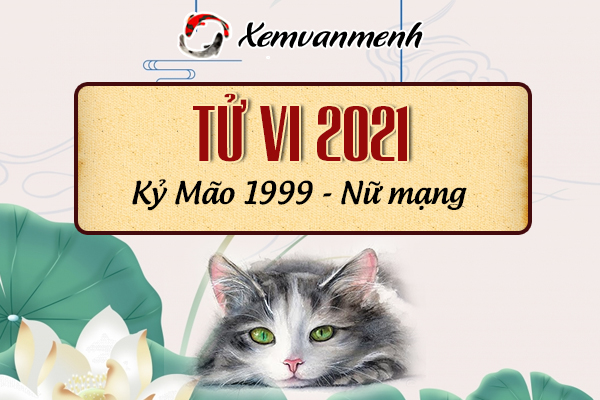 1999-xem-boi-tu-vi-tuoi-ky-mao-nu-mang
