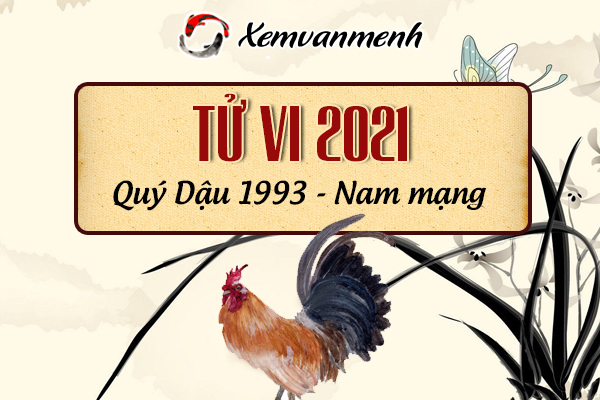 1993-xem-boi-tu-vi-tuoi-quy-dau-nam-mang