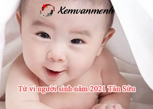 tu-vi-be-sinh-nam-2021-tan-suu