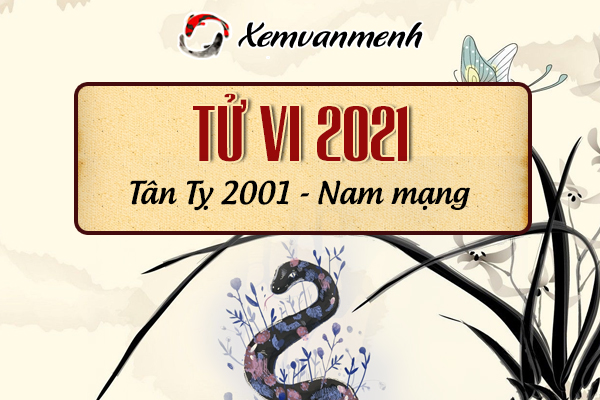 2001-xem-boi-tu-vi-tuoi-tan-ty-nam-mang