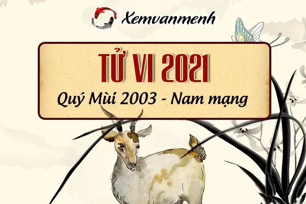 2003-xem-boi-tu-vi-tuoi-quy-mui-nam-mang