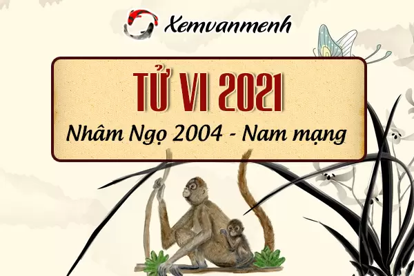 2004-xem-boi-tu-vi-tuoi-giap-than-nam-mang