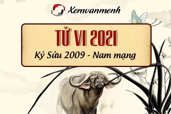 2009-xem-boi-tu-vi-tuoi-ky-suu-nam-mang