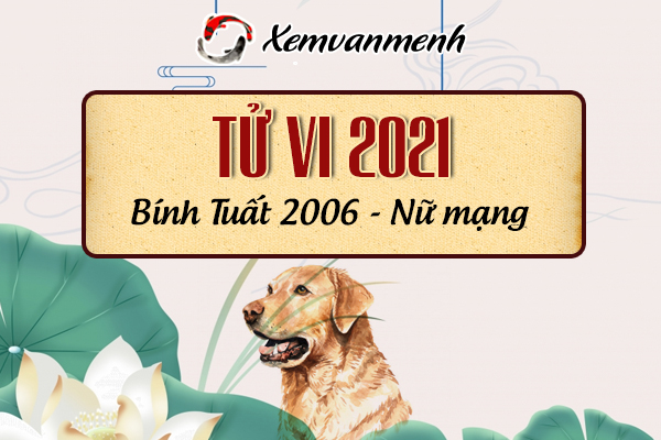 2006-xem-boi-tu-vi-tuoi-binh-tuat-nu-mang
